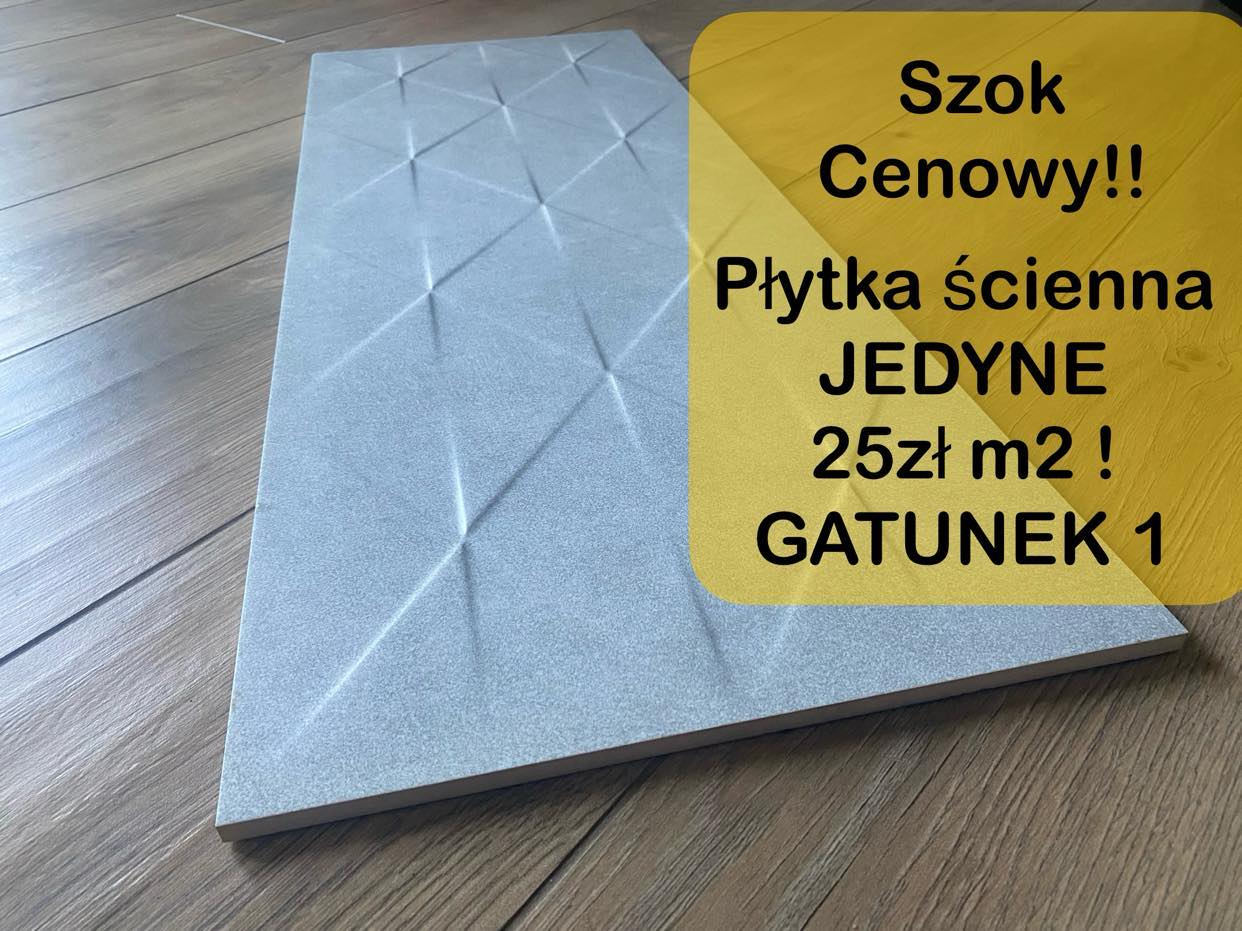 Płytki Ścienne 30x80